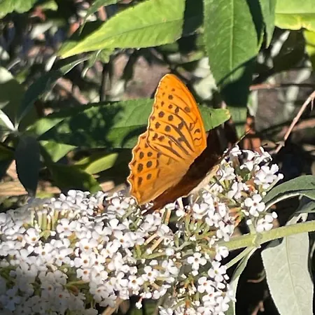 Les De Cathy 3* Murat