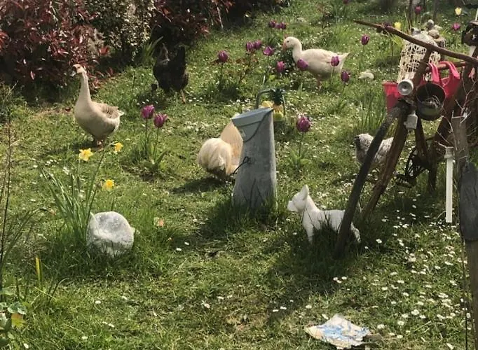 Bed and Breakfast Les De Cathy 3*